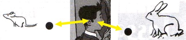 Ganesh's mouse & rabbit.jpg